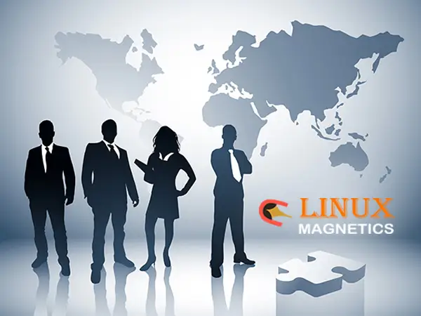 Linux Magnetics – Leading Manufacturer of Vibrating Screening Machine 